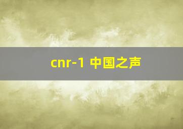 cnr-1 中国之声